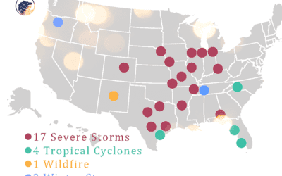 2024 Natural Disaster Insights